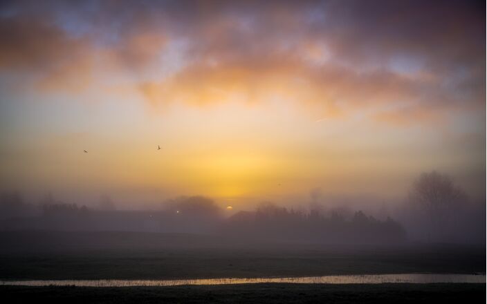 Foto gemaakt door Dirk van Egmond - Katwijk - Op sommige plekken was het de afgelopen tijd bijna iedere ochtend mistig.