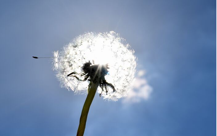 Foto gemaakt door Joost Mooij - Alphen aan den Rijn - De echte opwarming komt komende week pas met een oostelijke wind.