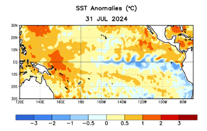 Foto gemaakt door © NOAA - Negatieve afwijkingen in de gemiddelde temperatuur van het zeeoppervlak duiden op de ontwikkeling van een La Niña