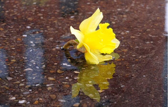 Foto gemaakt door Joost Mooij - Alphen aan den Rijn - Een natte start van de lente