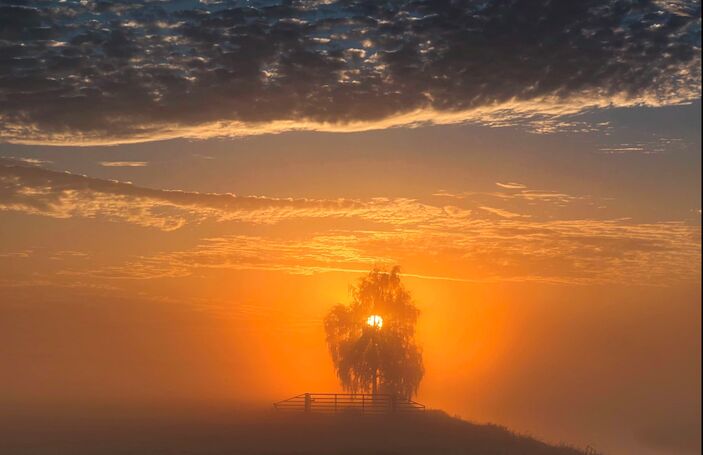 Foto gemaakt door John Oomen - Leerdam - Ook al zien de verwachtingen voor het begin van september er nu nog niet al te best uit, we hoeven voor de nazomer zeker niet te wanhopen. Die komt echt wel.