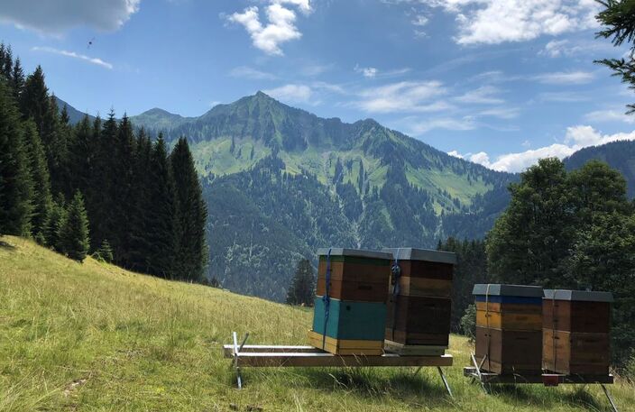 Foto gemaakt door Peter van der Stadt - Voralberg - In de Alpenregio naast veel zon, ook enkele (onweers)buien (archieffoto)
