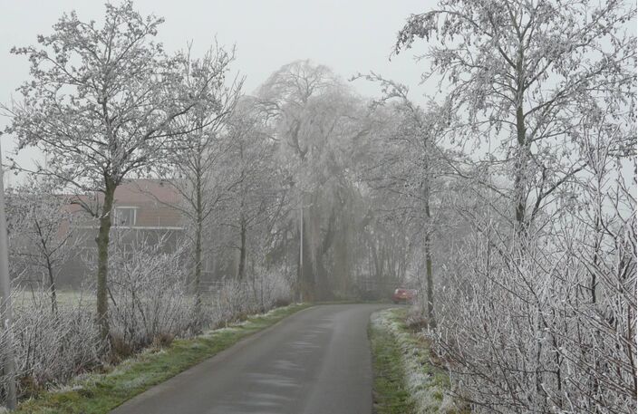 Foto gemaakt door Joost Mooij - Alphen aan den Rijn - Alphen aan den Rijn in december 2016, toen het rond deze tijd wel winters was. 