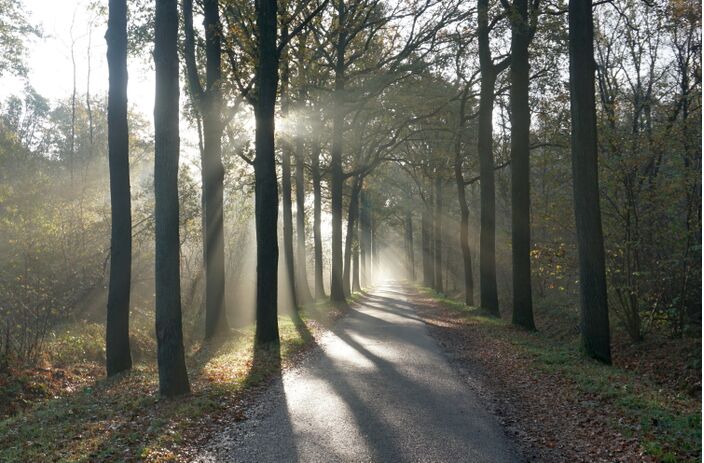 Foto gemaakt door Joost Mooij - Biezenmortel - We lijken langere tijd met oostelijke winden te maken te krijgen. Wordt het een koude decembermaand?