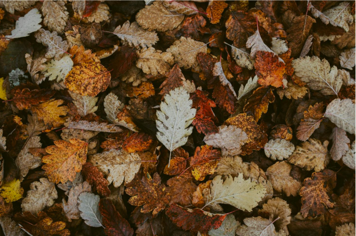 © pexels.com