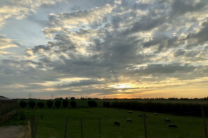 Foto gemaakt door Jolanda Bakker - Zevenhuizen - Ook al is het vandaag even wat minder, het zomerse weer van de laatste tijd laat zich ook de komende dagen niet van de wijs brengen. Morgen is het alweer warm.