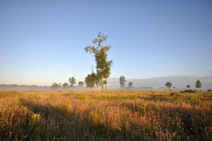 Foto gemaakt door Ben Saanen - Budel - Voorlopig blijft het rustig zomerweer, met zon maar soms ook een buitje.