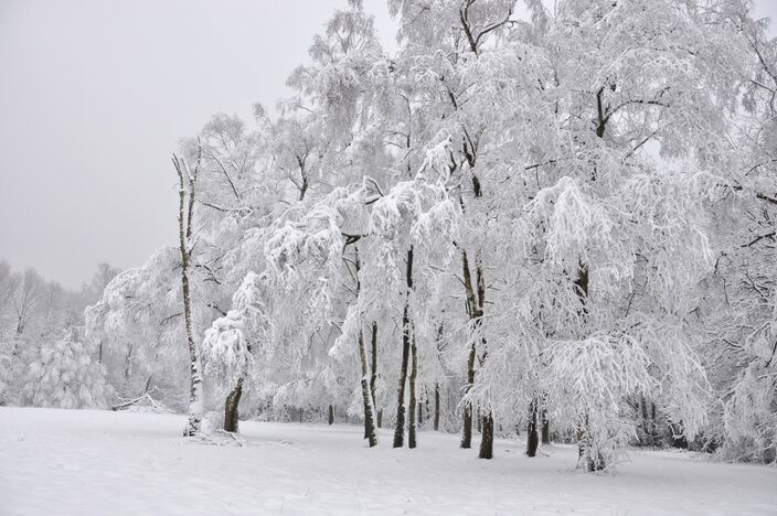 Foto gemaakt door Marina Nefkens - Dit jaar is de winter er vroeg bij in Scandinavië en Noordoost-Siberië.