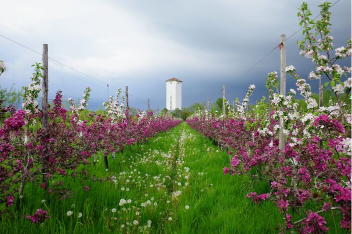 Foto gemaakt door Arco Visser - Werkhoven - De natuur krijgt momenteel bijna dagelijks water! Op de ene plek meer dan op de andere...