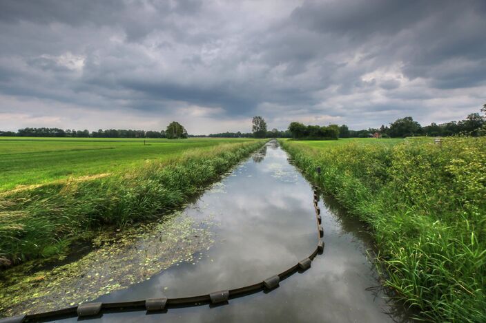 Foto gemaakt door Nicky Wagenvoort - Een storing, die over Nederland naar het noordoosten trekt, brengt eerst nog af en toe regen. Vanaf donderdag wordt het beter en het weekend verloopt zomers.