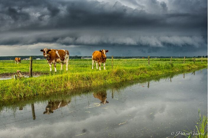 Foto gemaakt door Pascal Vastré  - Drunen