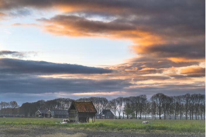 Foto gemaakt door Chris Biesheuvel - Gellicum - Het is weer even wat kouder, maar vanaf morgen (woensdag) ziet het lenteweer in Nederland er wel een aantal dagen fraai uit met oplopende temperaturen. 