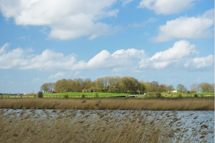 Foto gemaakt door Cynthia van Leusden - Everdingen - Dinsdagmiddag schijnt de zon weer even mooi. 