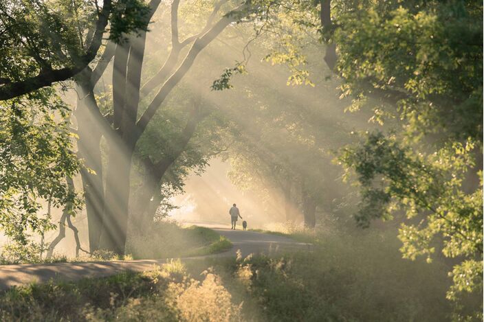 Foto gemaakt door Chris Biesheuvel - Beesd - De zomer is nog maar net onderweg, maar het in de zomerverwachting opgeschreven patroon wordt nu al zichtbaar. Geeft dat houvast voor de zomer? 