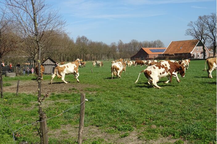 Foto gemaakt door Ans Prinsen - Meddo - Het is de eerste zomerse dag van 2021!