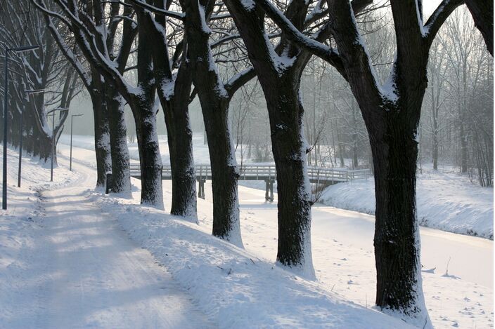 Foto gemaakt door John Dalhuijsen - Haarlemmermeer - Sneeuw op 21 december 2010