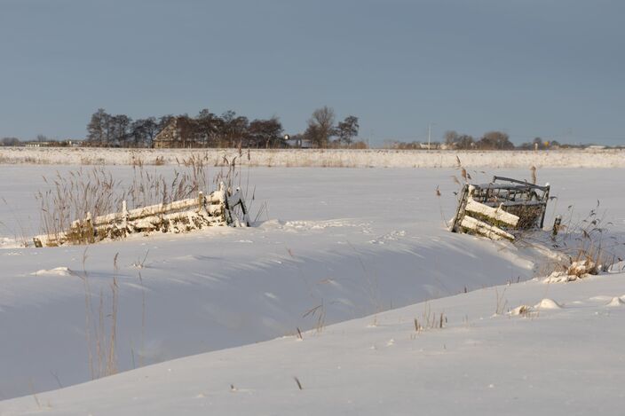 Foto gemaakt door Sanne Ruissen - Eernewoude