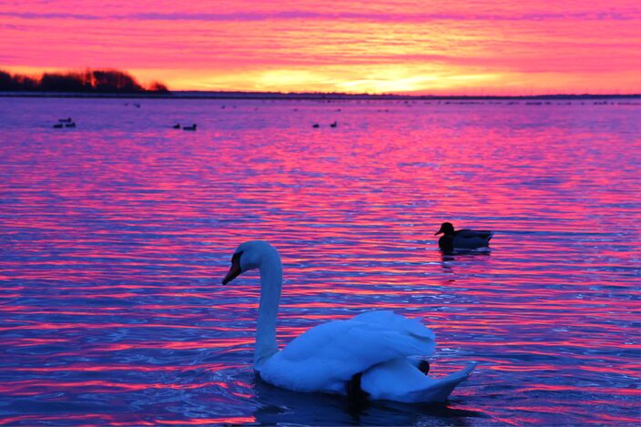 Foto gemaakt door Marja Raijmakers - Center Parcs Port Zélande - Fraaie zonsopkomst aan de start van een warme novemberdag
