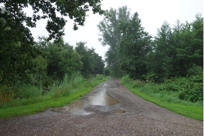 Foto gemaakt door Joost Mooij - Alphen aan den Rijn - Juli groeide tot een kletsnatte maand uit. 