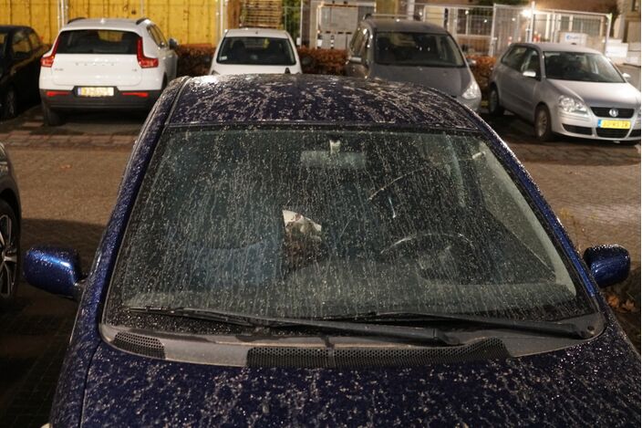 Foto gemaakt door Joost Mooij - Alphen aan den Rijn - Saharazand op een auto in Alphen aan den Rijn. 