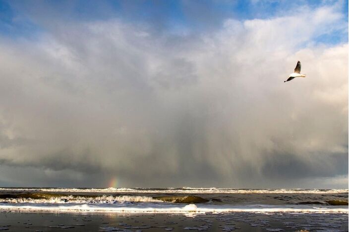 Foto gemaakt door Els Bax - Noordwijk - Het weekend staat in het teken van de passage van een actief regengebied. Vooral in de nacht naar zondag kan er veel vallen. De wind trekt flink aan. 