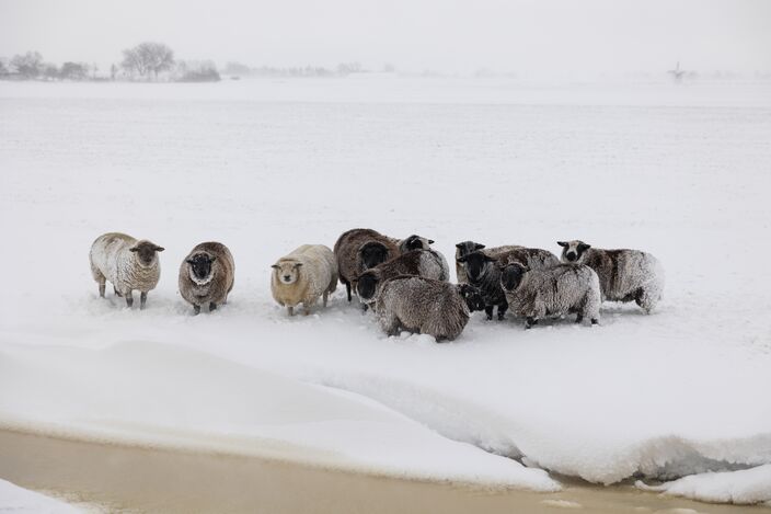 Foto gemaakt door Willy Sybesma - Oosterend Foto gemaakt door Willy Sybesma - Oosterend