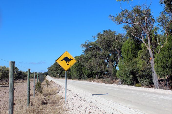 Foto gemaakt door Maike Broskamp - NSW - Ook in Australië is herfst is een relatief begrip 