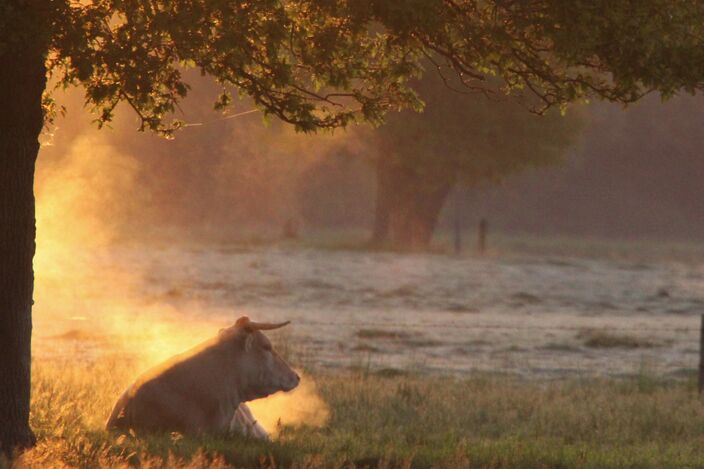 Foto gemaakt door Karin Klein  - Winterswijk 