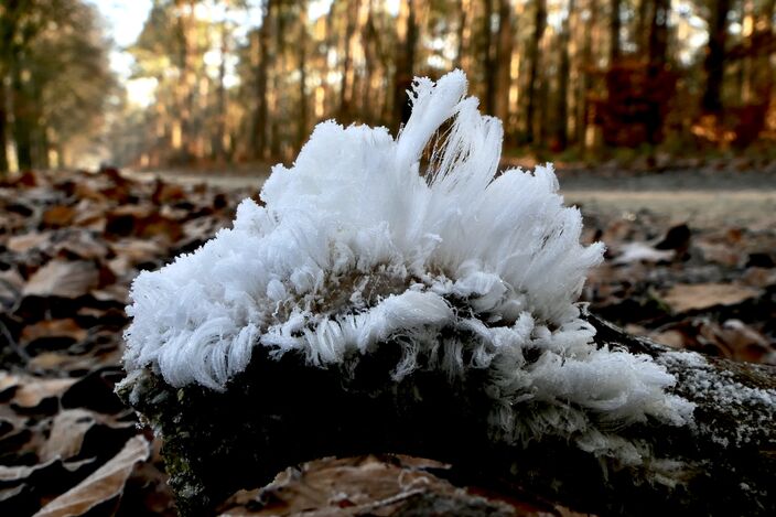 Foto gemaakt door Miranda Suvaal - Ede Foto gemaakt door Miranda Suvaal - Ede