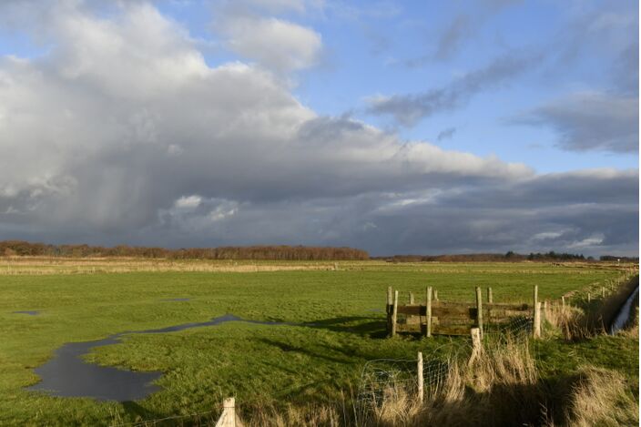 Foto gemaakt door Sytse Schoustra - Terschelling - Nog is er geen winterweer in zicht in Nederland.