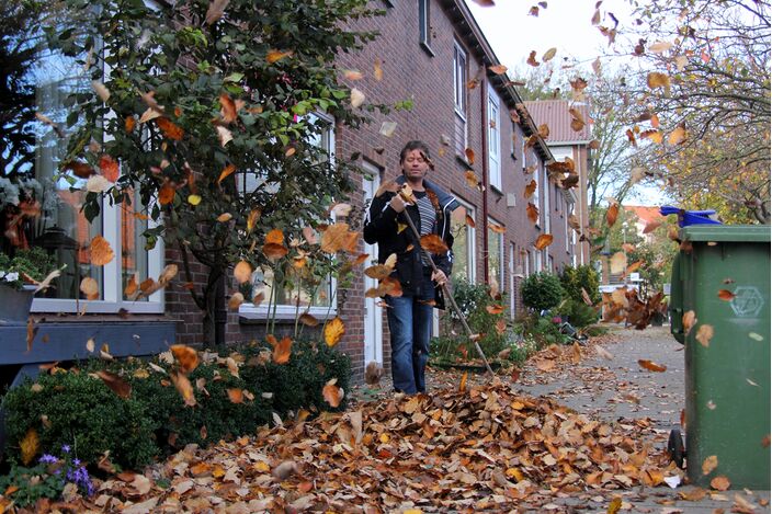 Foto gemaakt door Ilse Kootkar  - Den Helder - Komende dagen gaat het eindelijk weer eens flink waaien, waardoor de bladval toeneemt.
