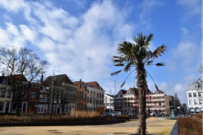 Foto gemaakt door Anne-Marie van Iersel - Vlissingen - Na de moesson en de vele wind van de laatste tijd, wordt het de komende dagen heel langzaam beter. Er lijkt zelfs een fraai carnavalsweekeinde in aantocht. 