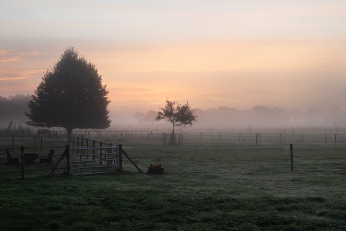 Foto gemaakt door Anita ter Veen - Emmen - Als de zon eenmaal door de mist heen begint te schijnen, geeft dit vaak prachtig licht en kunnen er mooie foto's worden gemaakt. Foto gemaakt door Anita ter Veen - Emmen - Als de zon eenmaal door de mist heen begint te schijnen, geeft dit vaak prachtig licht en kunnen er mooie foto's worden gemaakt.