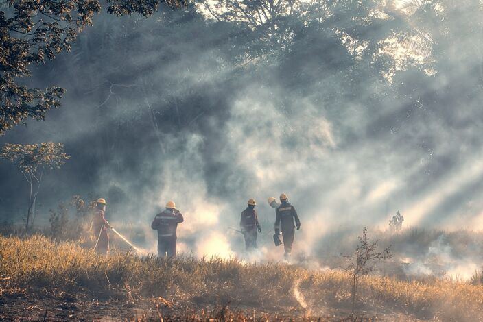 Foto gemaakt door Ronald Plett - Spanje - Zuidwest-Europa kampt met enorme droogte en er woeden er dan ook al meerdere bos- en natuurbranden