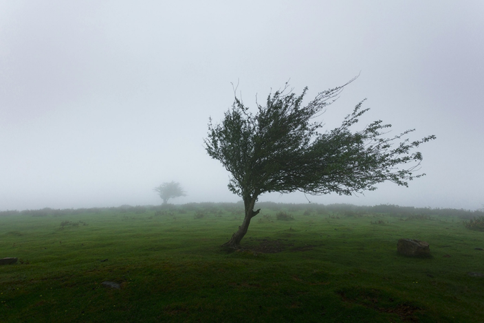 Foto gemaakt door Bron: Unsplash Foto gemaakt door Bron: Unsplash