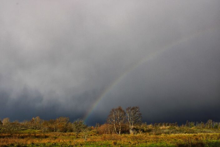 Foto gemaakt door Karin Cijsouw  - Castricum - Winterse buien en opklaringen