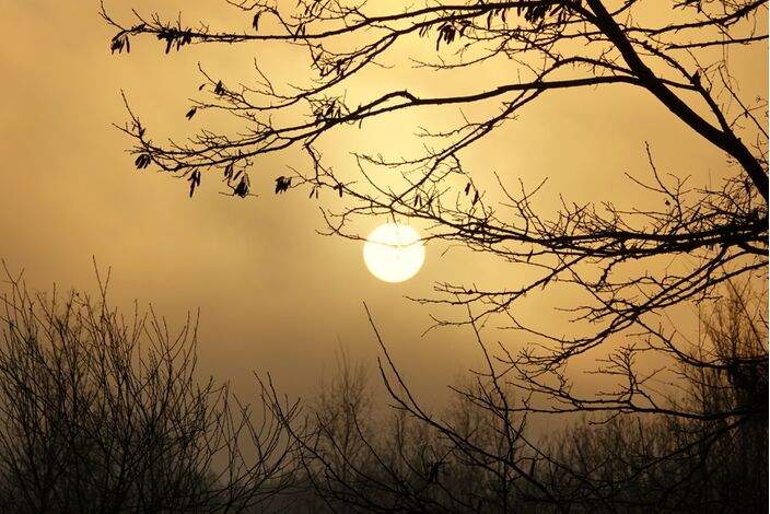 Foto gemaakt door Ben Saanen - Budel - Wordt het nog wat met de huidige winter? Er zit veel tegen, maar een paar lichtpuntjes zijn er ook wel. Het is alleen de vraag of het genoeg is. 