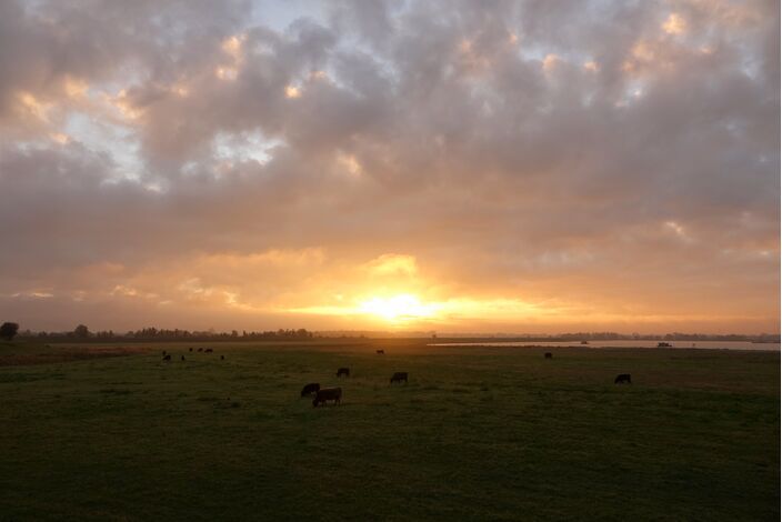 Foto gemaakt door Ben Saanen - Thorn - Perioden met zon, maar ook wat wolken.