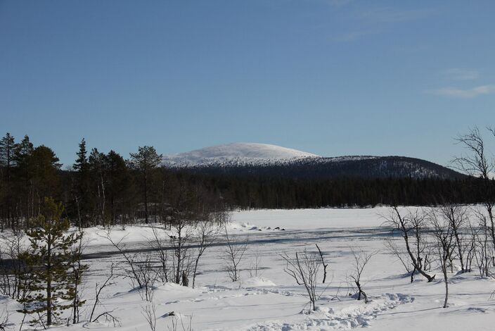 Foto gemaakt door Wikipedia - De omgeving van Muonio in het noordwesten van Finland. 