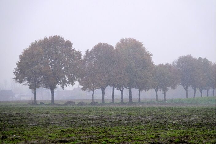 Foto gemaakt door Ben Saanen - Budel