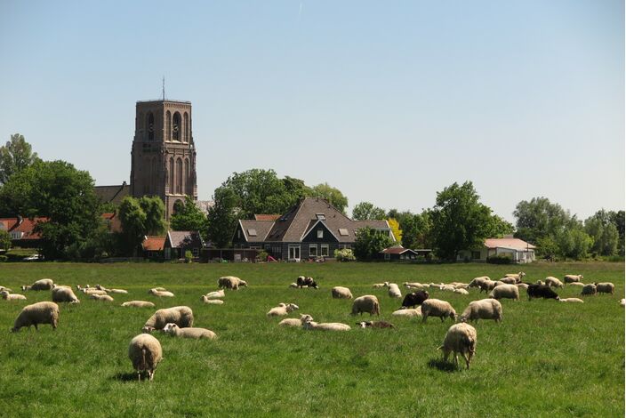 Foto gemaakt door Emiel van Lint - Zunderdorp