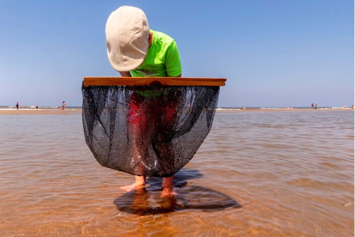 Foto gemaakt door Els Bax - Noordwijk - Ook op de stranden hogere temperaturen, maar het water is nog best fris.