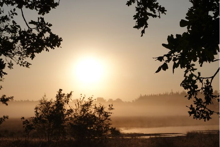 Foto gemaakt door Willem van Nunen - Net zoals op zondag, zijn ook de eerste dagen van de week prachtige zomerdagen. Ook is er op de meeste ochtenden kans op zonsopkomsten zoals deze, prachtig samengaand met nevel of mist.