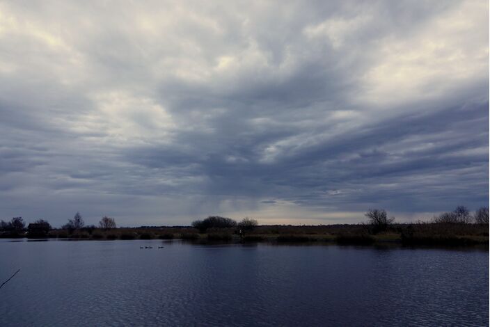 Foto gemaakt door Ben Saanen - Een grijs en op veel plekken ook regenachtig begin van deze zeer zachte dag.