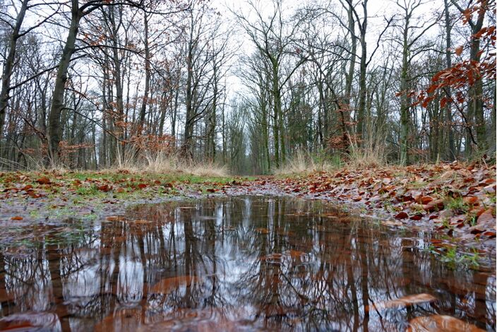 Foto gemaakt door Ben Saanen - Budel - Het zachte weer is even voorbij. We krijgen een overgang naar guur weer met winterse buien. 