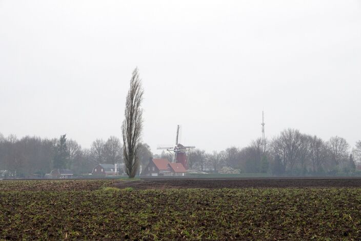 Foto gemaakt door Ben Saanen - Budel - Is het de eerste dagen in Nederland nog nat en later ook vrij koud, na het komende weekend lijkt het ineens een stuk warmer te worden.