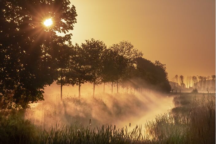 Foto gemaakt door Marinus de Keijzer  - Beesd - Afgelopen nacht was het fris met op veel plaatsen nachtvorst.