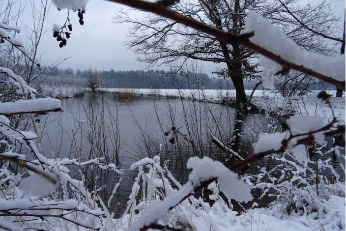 Foto gemaakt door  Willem van Nunen - Stiphout - Foto ter illustratie. Sneeuw op 26 februari vorig jaar. 