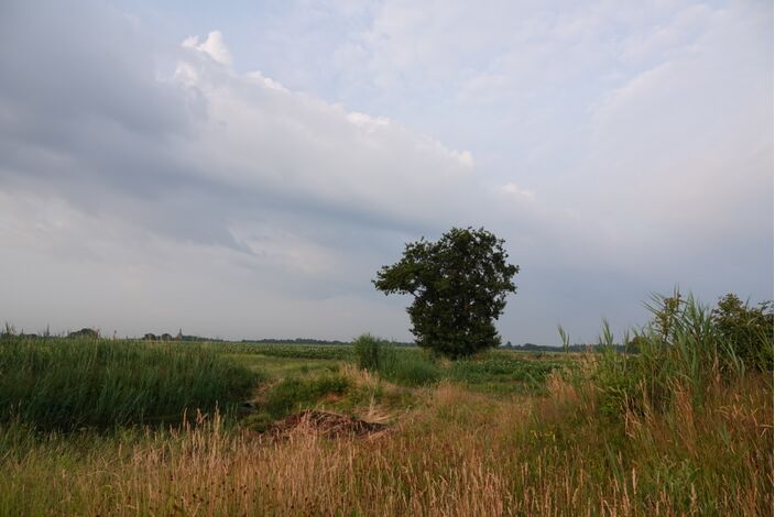 Foto gemaakt door Willem van Nunen - Stiphout - Voor het zuidoosten en oosten van Nederland staat vandaag een bak regen op het programma. Lokaal kan erg veel vallen. Limburg maakt ook kans op flink onweer.