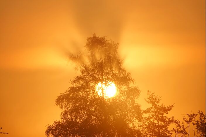 Foto gemaakt door Ben Saanen - Budel - De eerste zomerse temperaturen gaan al vallen, maar na een wat koelere periode later deze week staat volgende week iets te broeien. Het kon weleens heet worden.